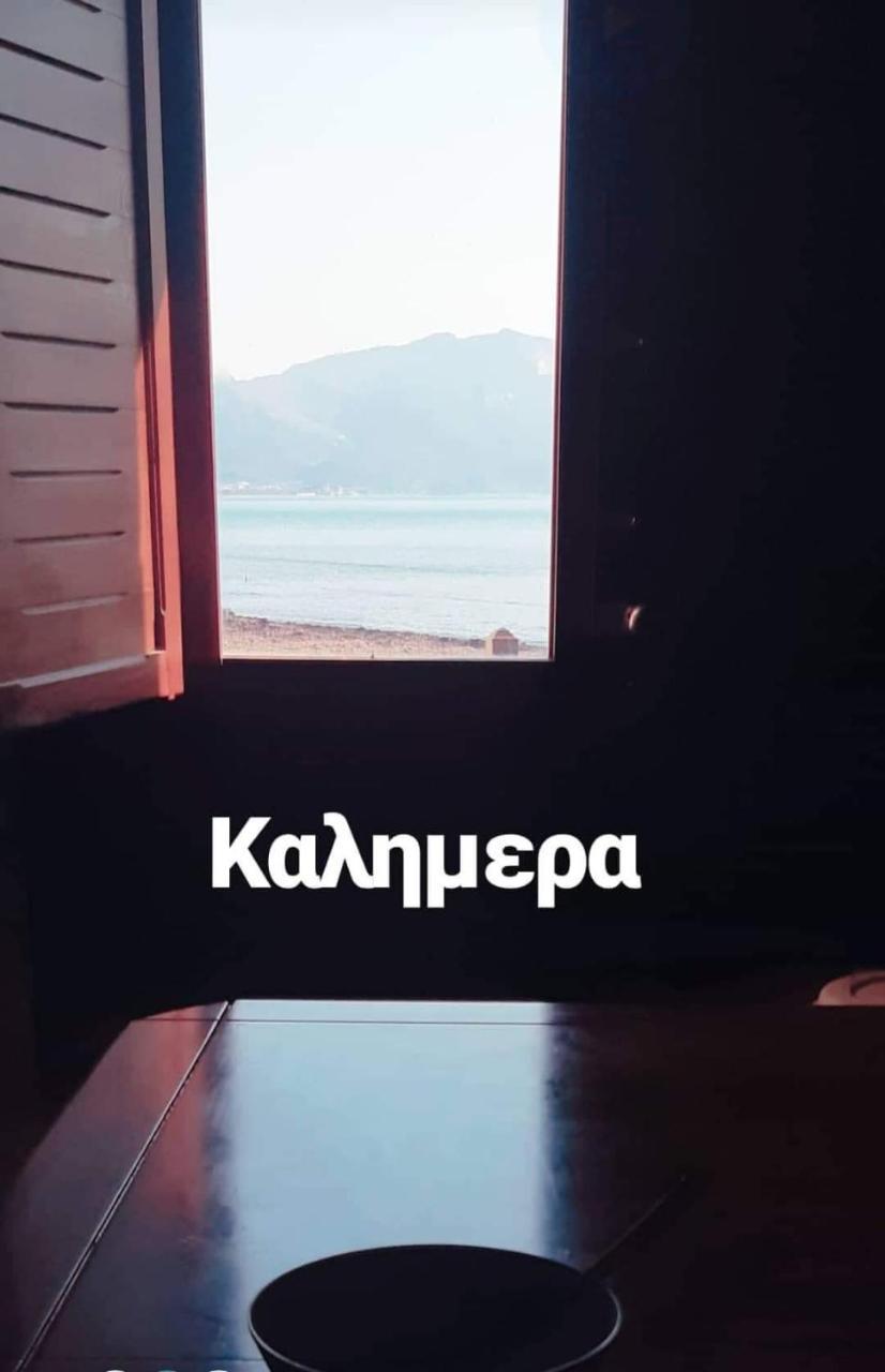 αggi's *